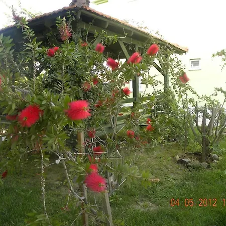 Ozalp C Hotel apartamentowy